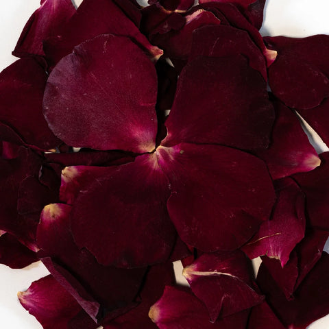 Oh My Rose Dried Petals Close Up - Image