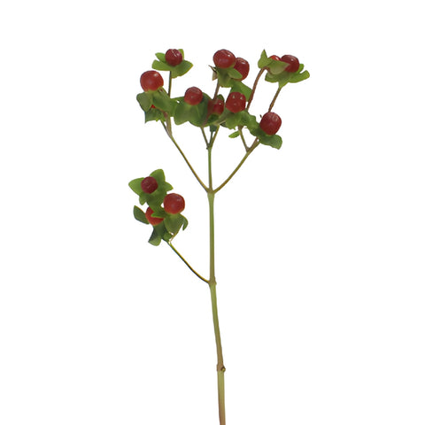 Antique Burgundy Designer Hypericum Berries