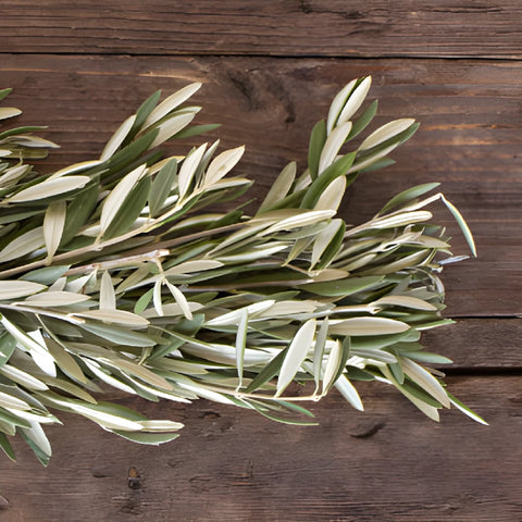 Olive Greens Garland