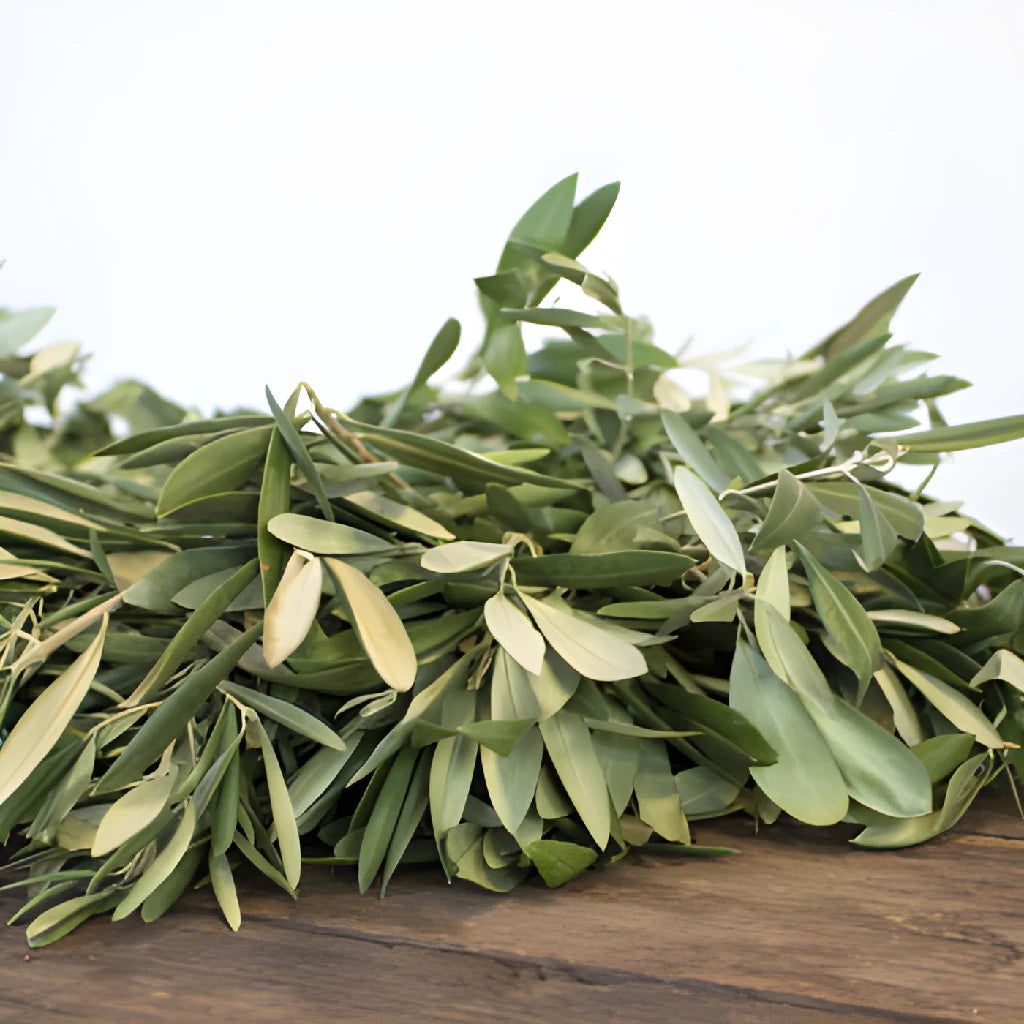 FiftyFlowers Olive Branch Wreath