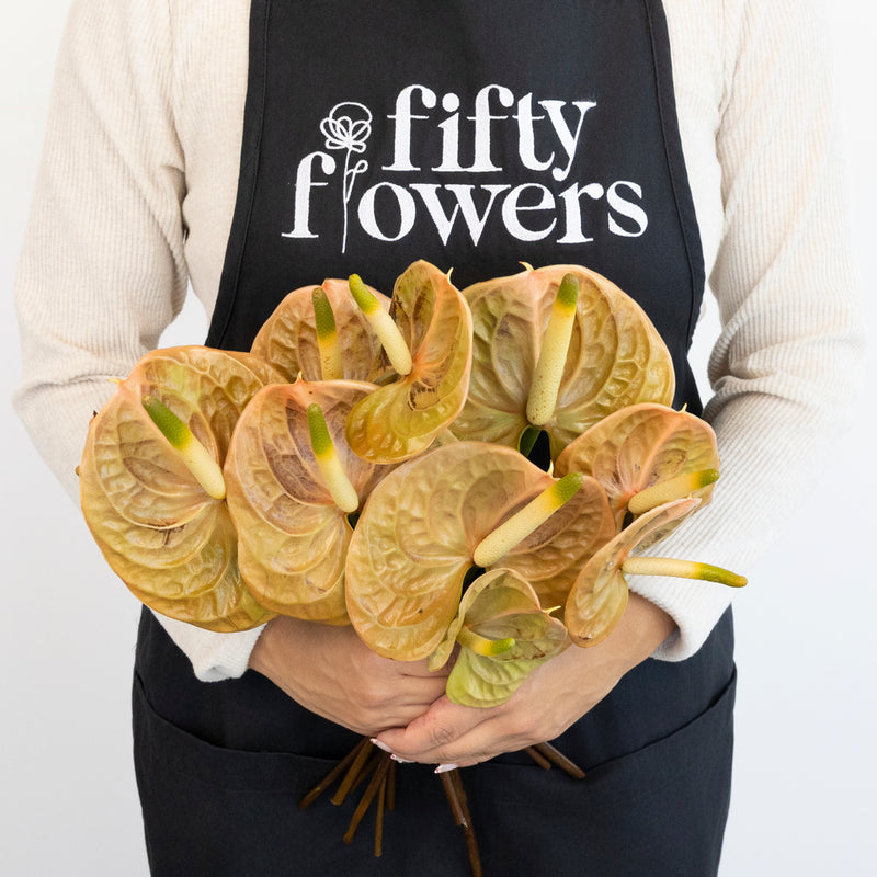 Olive Pink Anthurium Flower Apron - Image