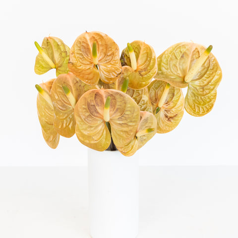 Olive Pink Anthurium Flower Vase - Image