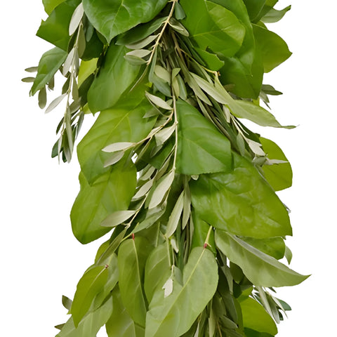 Olive and Salal Greens Garland