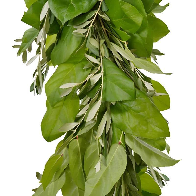 Olive and Salal Greens Garland