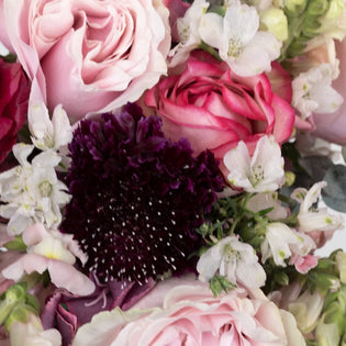 On Cloud Wine Diy Flower Combo Pack Close Up - Image