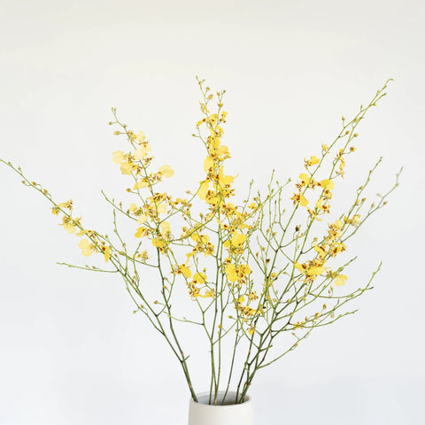 Oncidium Orchids Yellow Flower Vase - Image