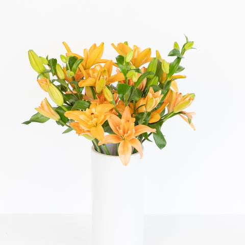 Orange Butterfly Lily Flower Apron - Image