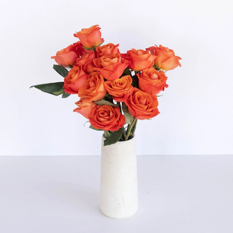 Orange Crush Rose Vase - Image