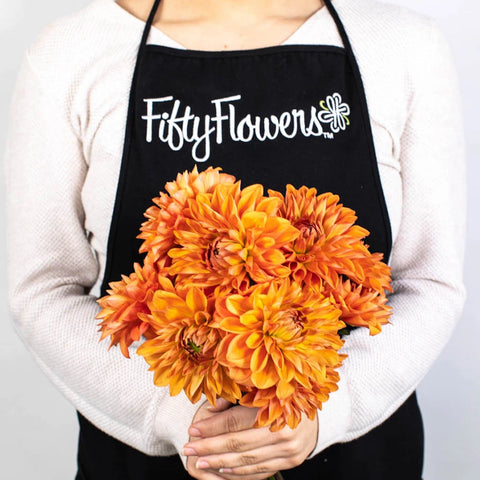 Orange Dahlia Flower Bunch in Hand