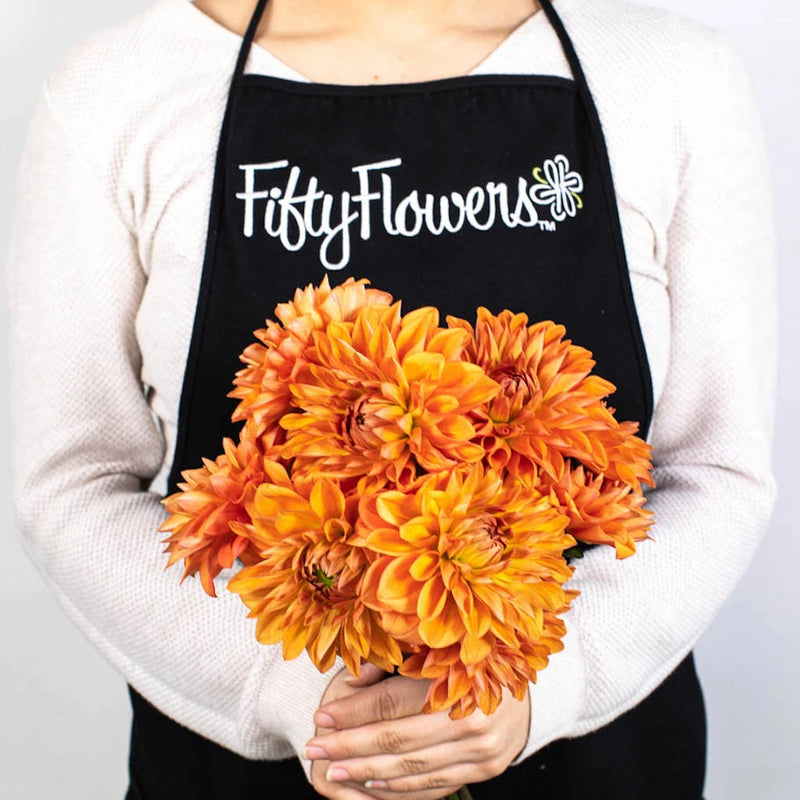 Orange Dahlia Flower Bunch in Hand