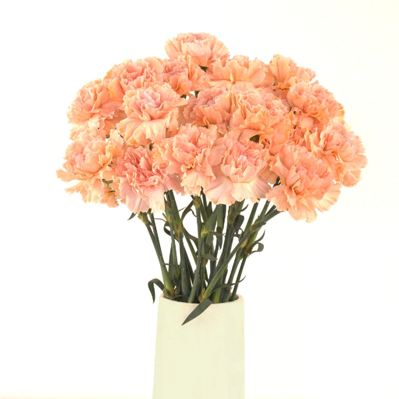 Orange Enhanced Carnation Flowers Vase - Image