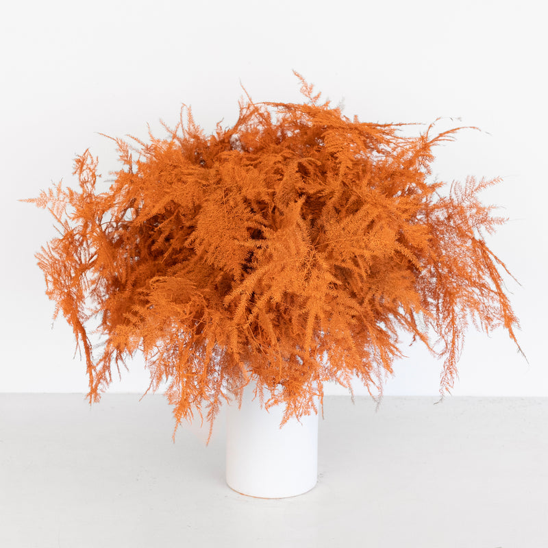 Orange Enhanced Plumosa Fern Greenery Vase - Image