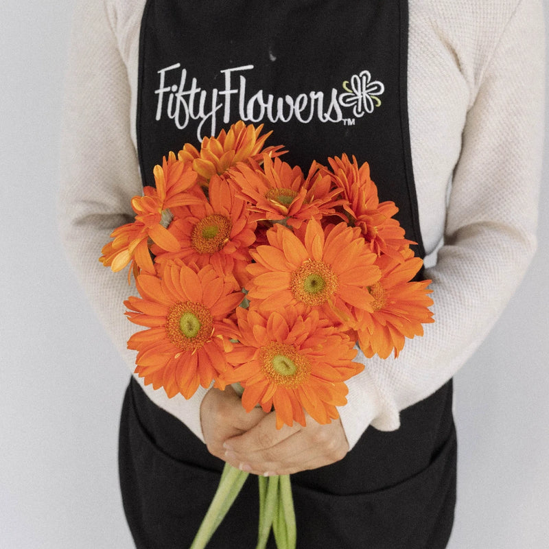 Orange Gerbera Daisies Flower Apron - Image