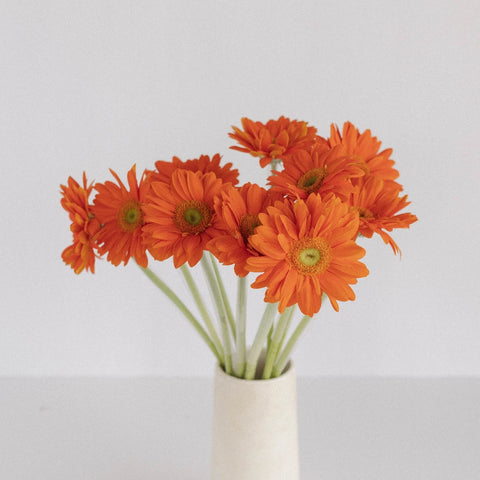 Orange Gerbera Daisies Flower Vase - Image