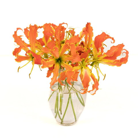 Orange Gloriosa Lilies Vase - Image