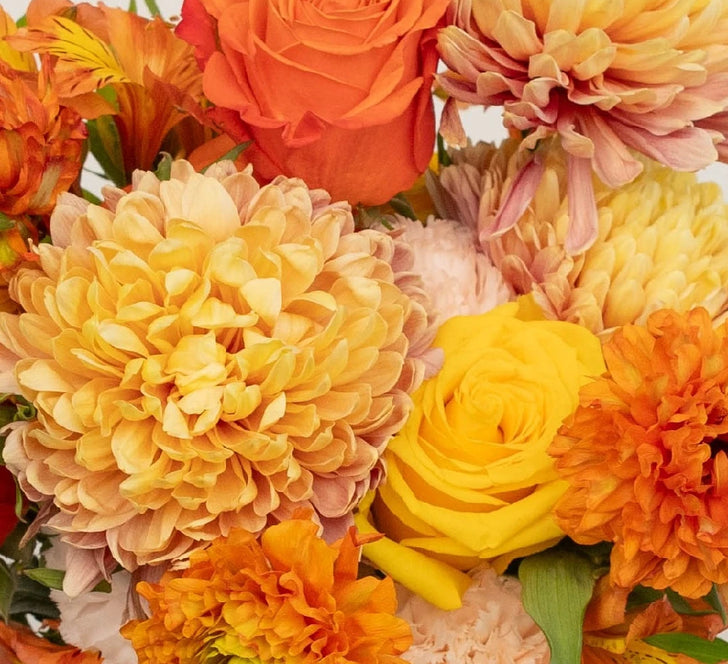Orange Harvest Fall Flower Bouquet Close Up - Image