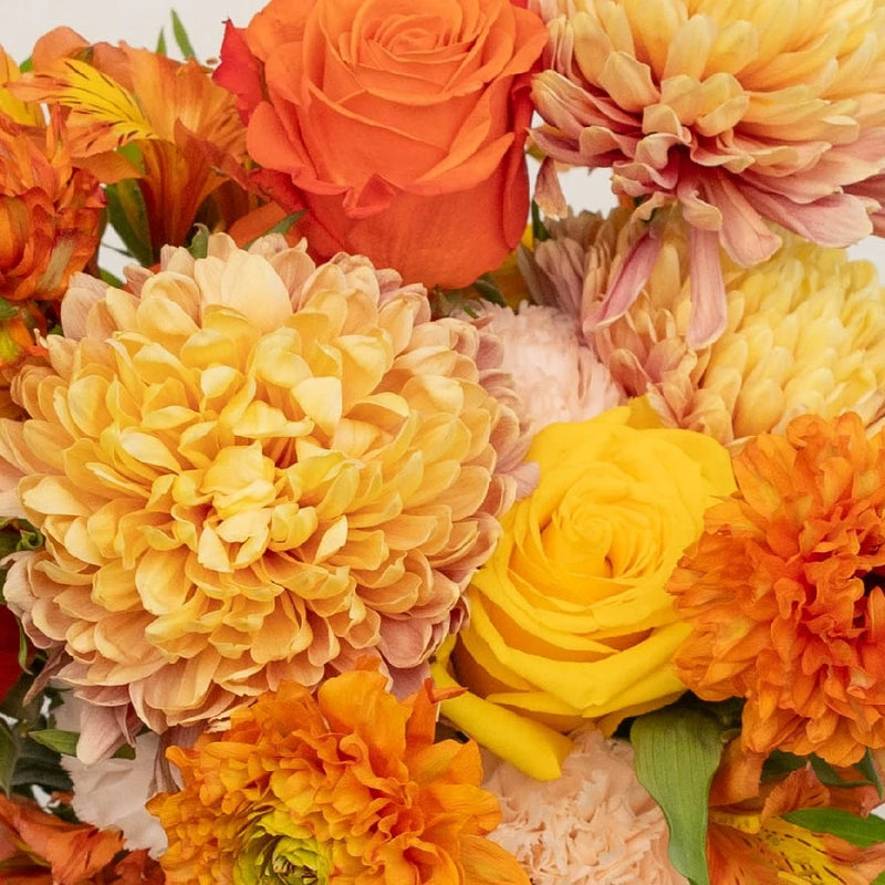 Orange Harvest Fall Flower Bouquet Close Up - Image