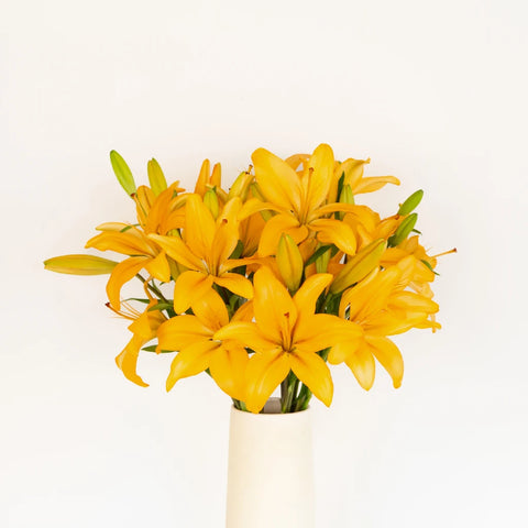 Orange India Hybrid Lily Flower Vase - Image