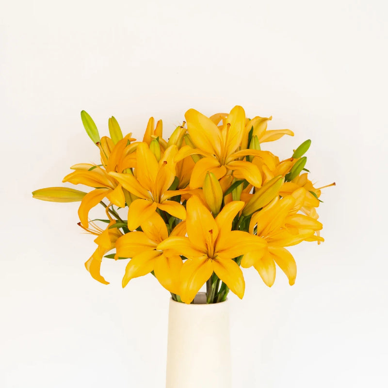 Orange India Hybrid Lily Flower Vase - Image