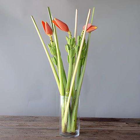 Orange Musa Banana Flower
