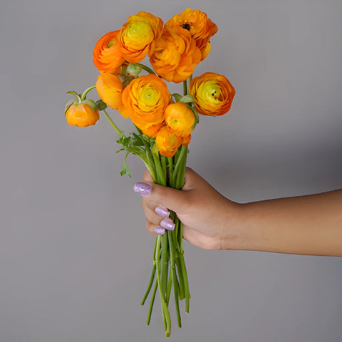 Save The Ranunculus Growers DIY Flower Kit