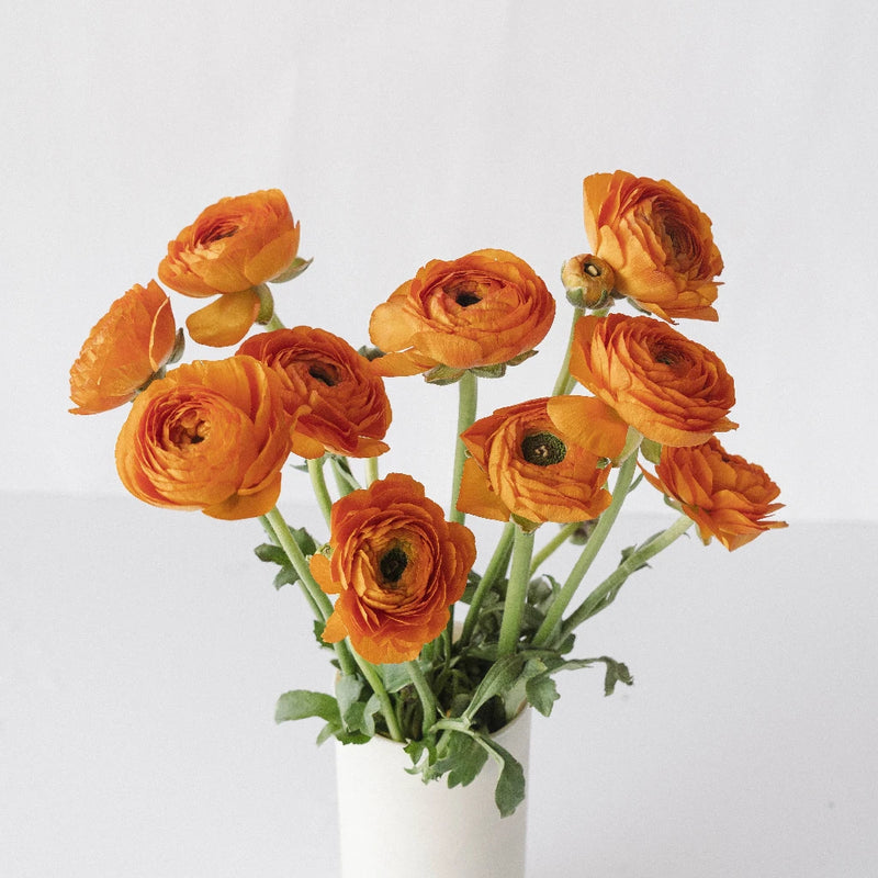 Orange Ranunculus Fresh Cut Flower Vase - Image