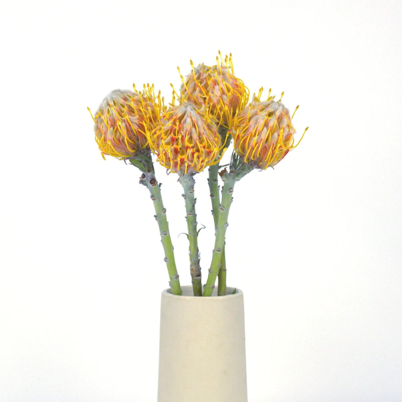 Orange Ribbon Pin Cushion Flower Vase - Image