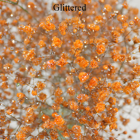 Orange Airbrushed Baby's Breath Flower