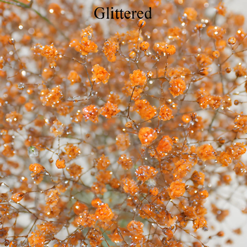 Orange Airbrushed Baby's Breath Flower