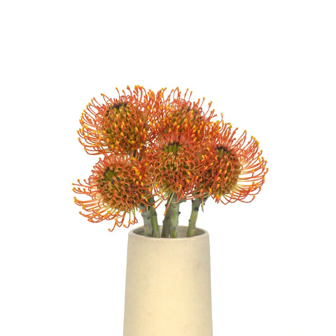 Orange Sorbet Pin Cushion Flower Vase - Image