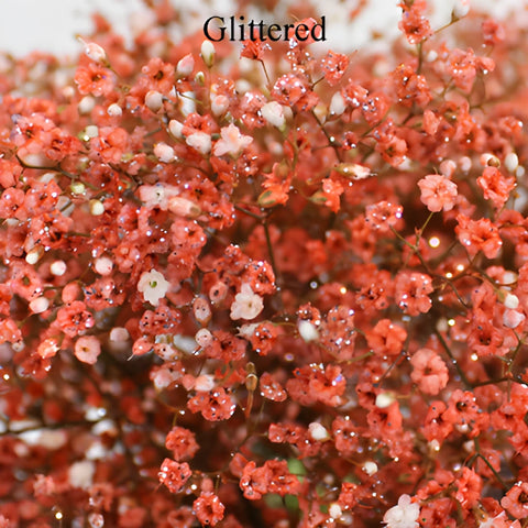 Coral Orange Airbrushed Baby's Breath Flower