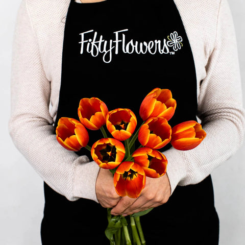 Orange Tulip Flower Bunch in Hand