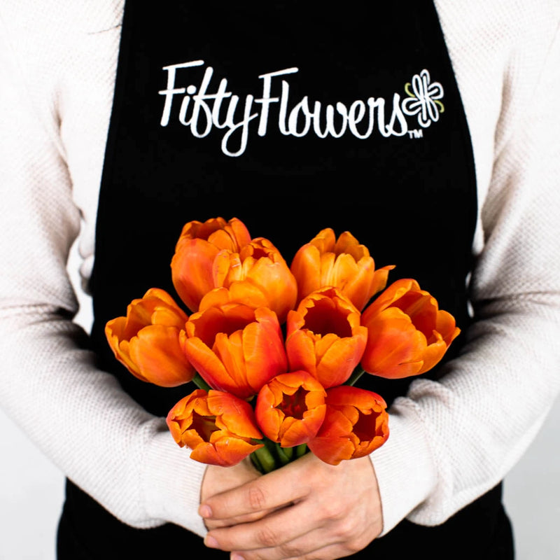 Orange Tulip Flower Bunch in Hand