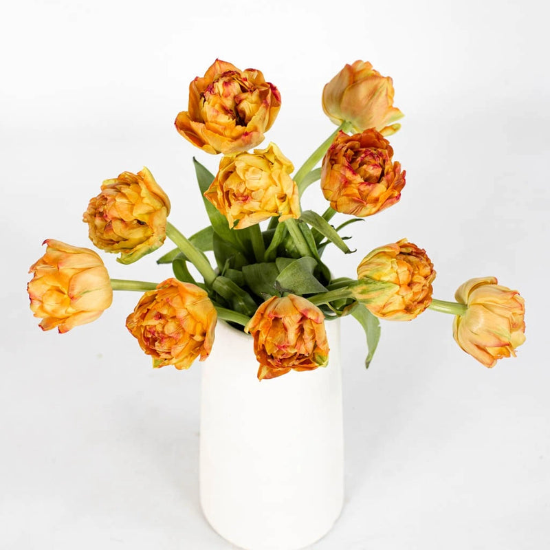 Orange Valdivia Double Tulips Vase - Image