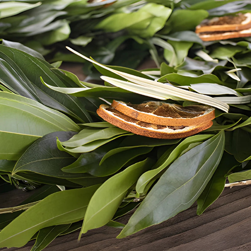 Orange Zest Greenery Wholesale Wreath in a hand