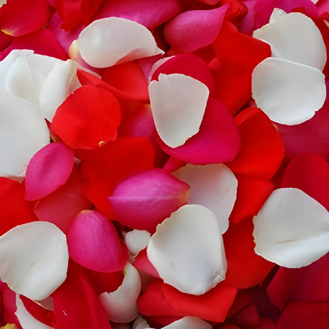 Bright Fresh Rose Petals for a wedding