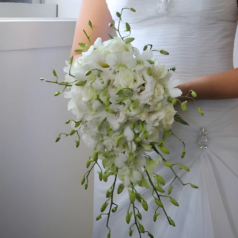 Orchid Dendrobium Combo Wholesale DIY Flower Kit In a Hand