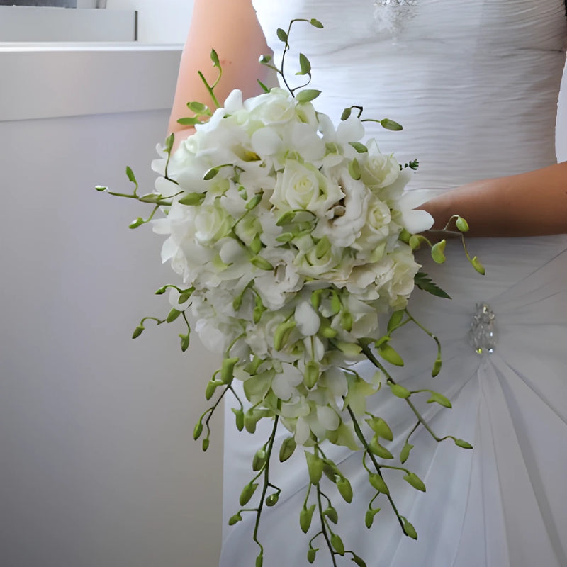 Orchid Dendrobium Combo Wholesale DIY Flower Kit In a Hand