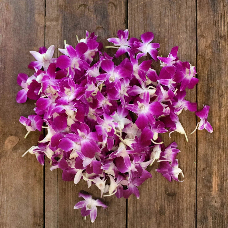 Orchids Bombay Wholesale Flower On a Table