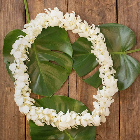 Orchids White Wholesale Lei On a Table