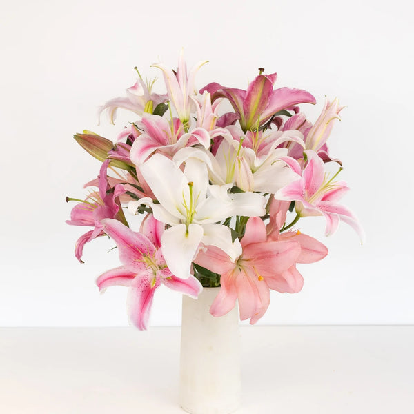 colorful lily flower Buy Wholesale Assorted Color Oriental Lilies For Mothers Day in Bul