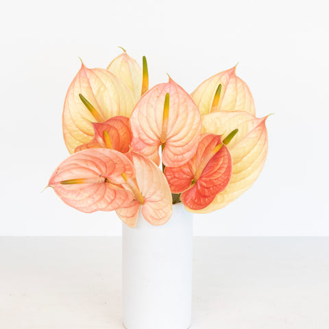 Pale Blush Pink Anthurium Flower Vase - Image