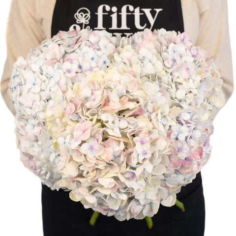 Pale Vintage Hydrangea Flower Apron - Image