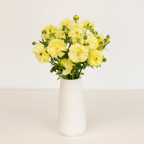 Pale Yellow Butterfly Ranunculus Flower Vase - Image