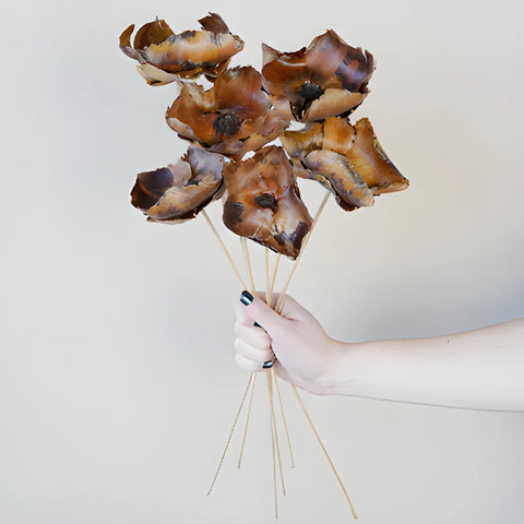 Brown Dried Palm Caps