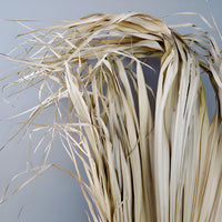 Nautral Desert Dried Palms