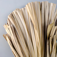 Natural Dried Desert Round Palm