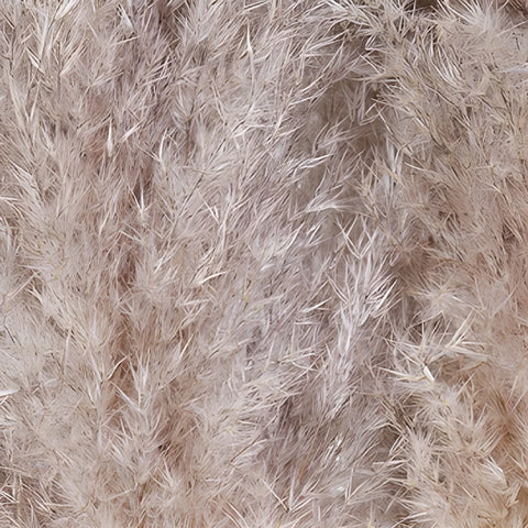 Grower's bunch of bulk pampas grass fresh cut greens sold for delivery