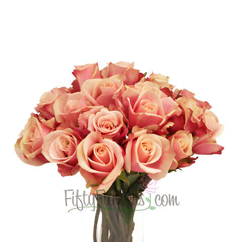 Panama Pink Blend Rose