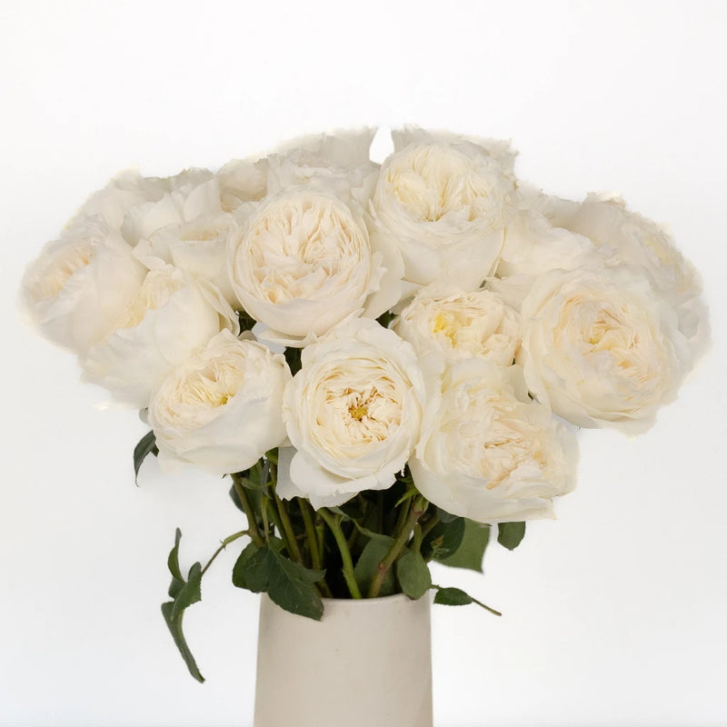 Paper White Garden Rose Vase - Image